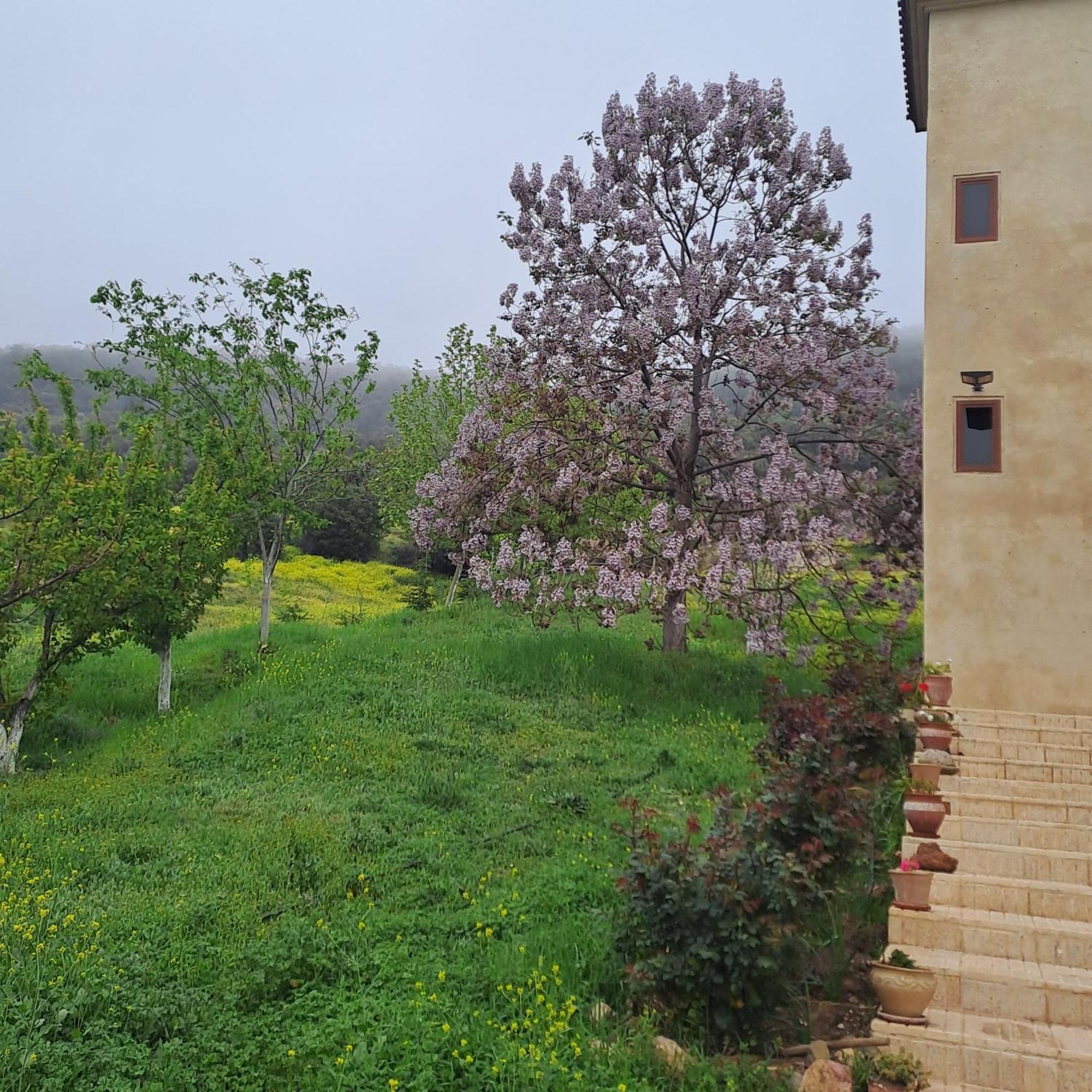 Hotel Le Chene D'Azrou Exteriér fotografie